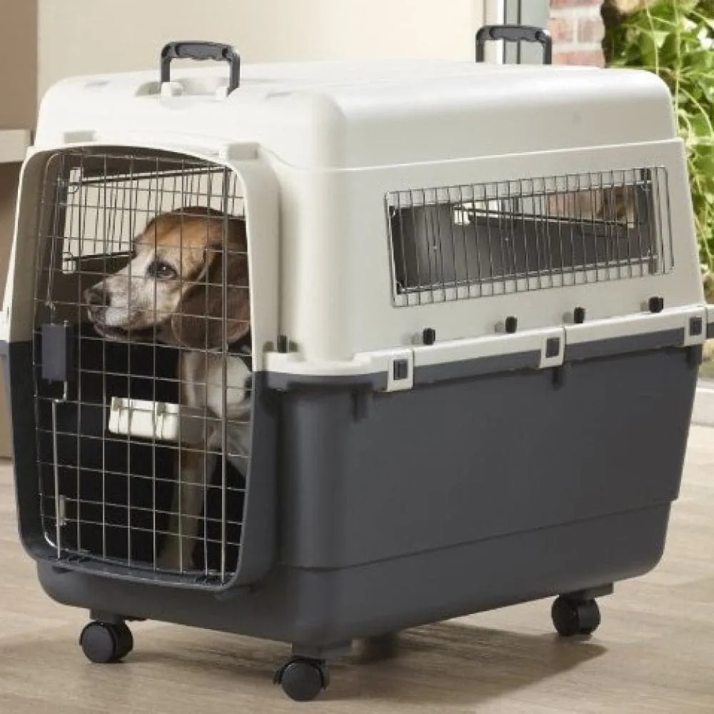 Savic Belgium Andes 7 Pet Carrier for Dogs and Cats (Ivory)