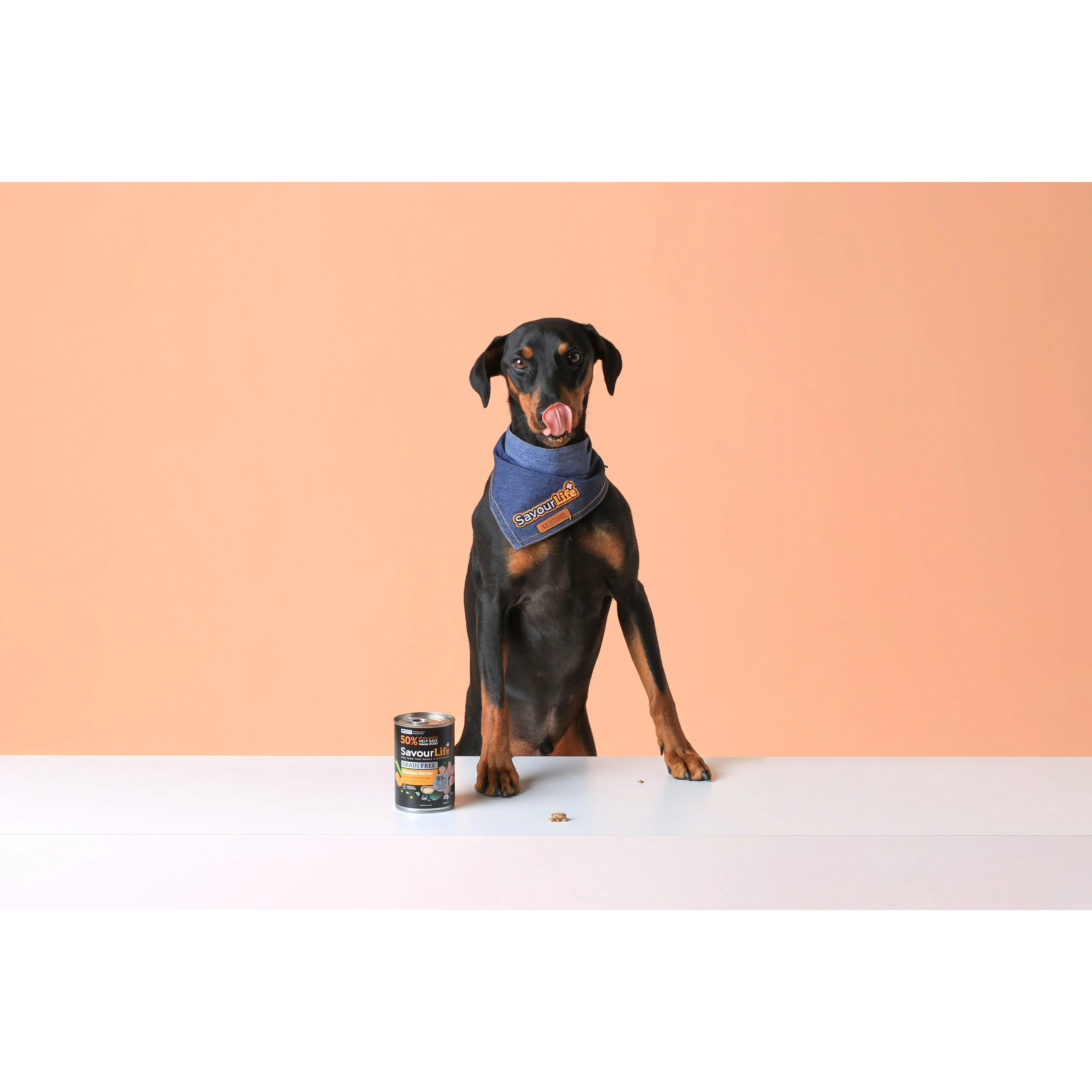 Savourlife Grain Free Chicken Adult Dog Wet Food 375g X12