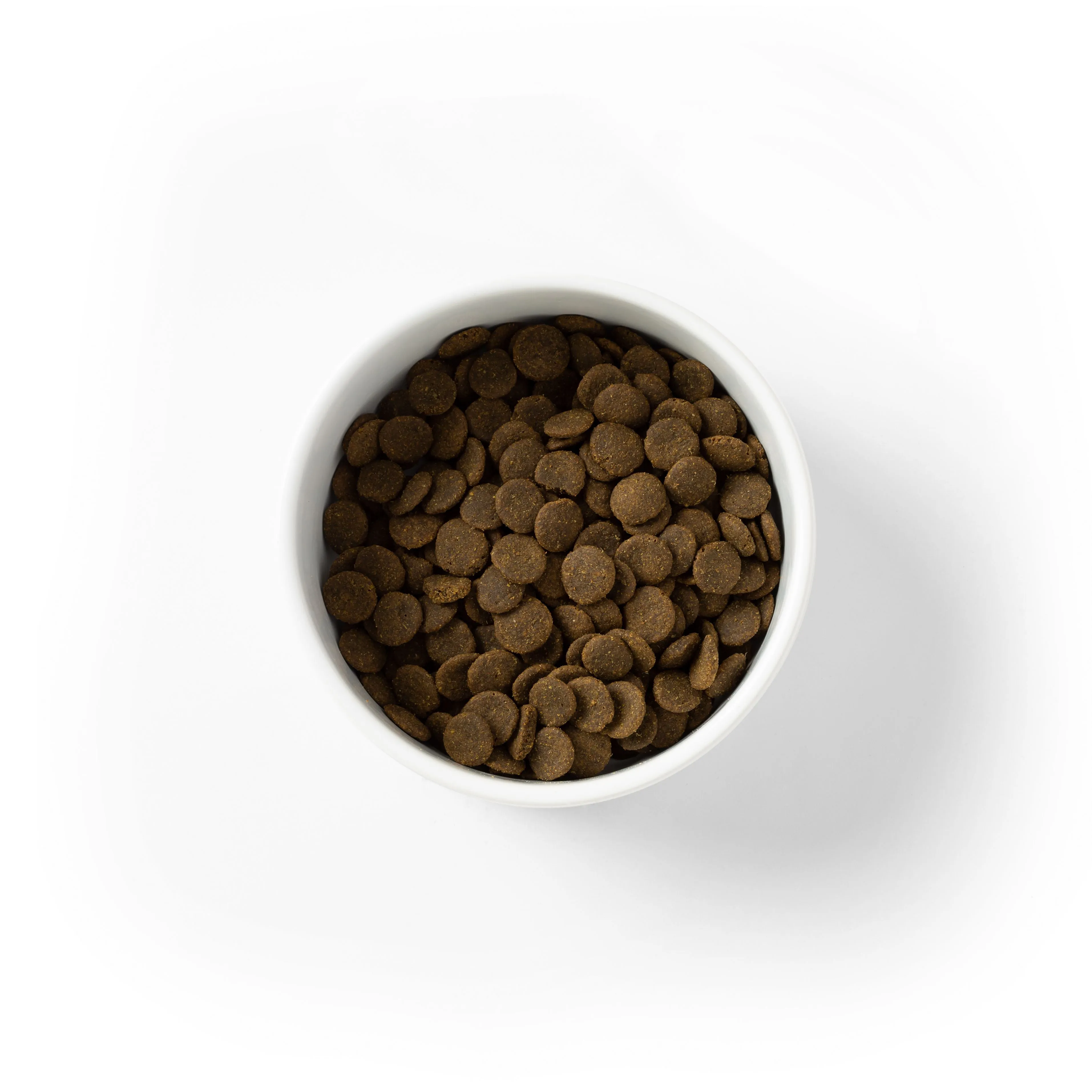 SavourLife Grain Free Dry Dog Food Kangaroo and Chicken 10kg