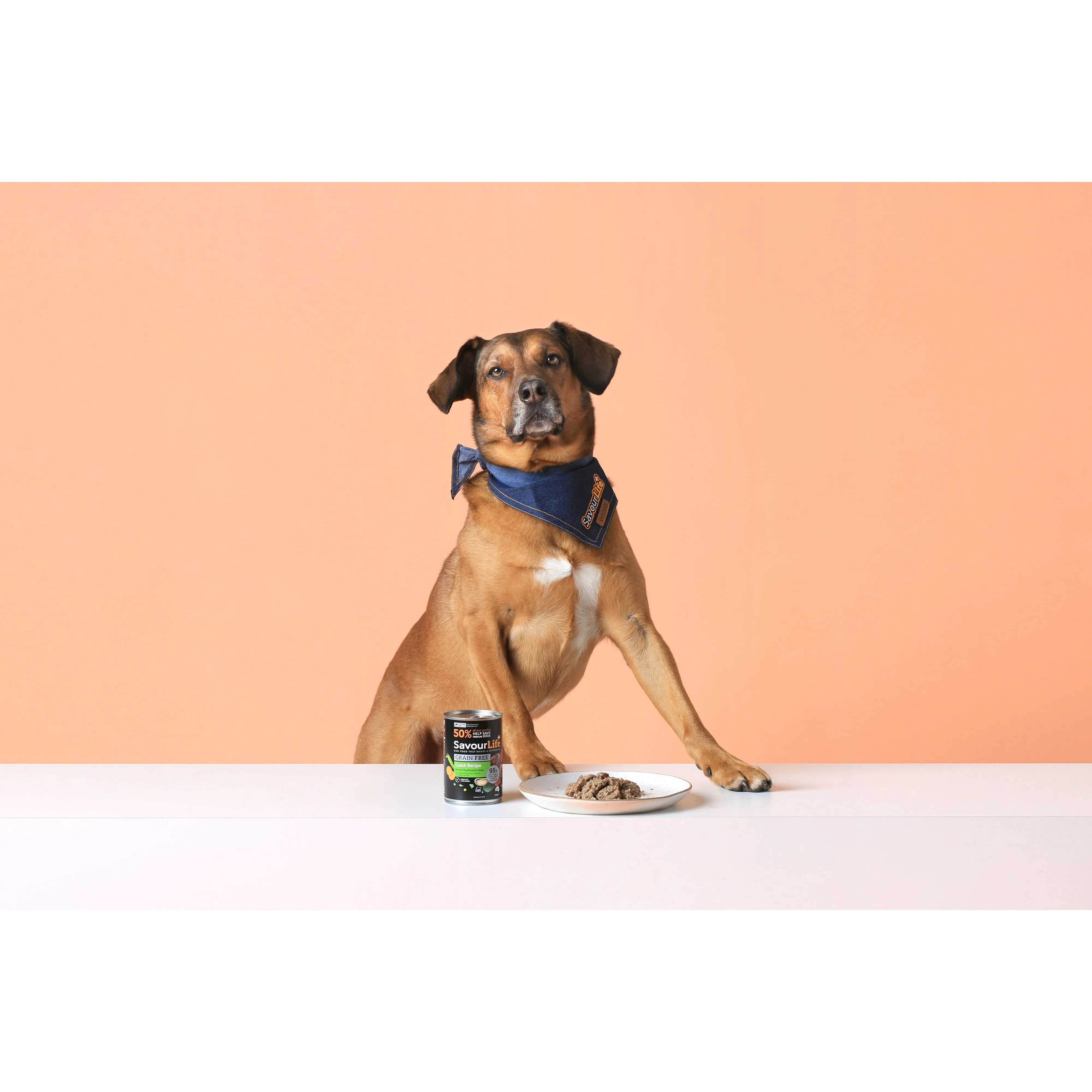 SavourLife Grain Free Lamb Adult Dog Wet Food 375g