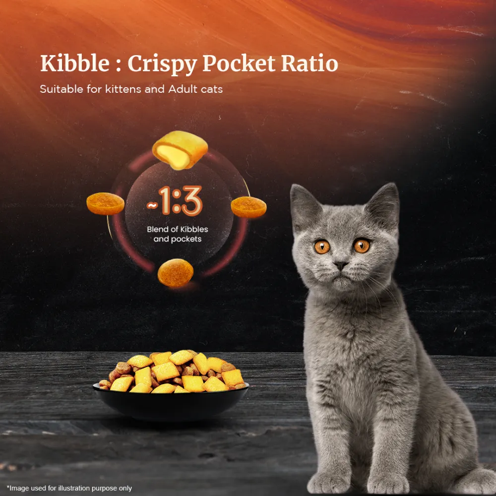 Sheba Salmon Flavour and Chicken Flavour Irresistible All Life Stage Cat Dry Food Combo (Limited Shelf Life)