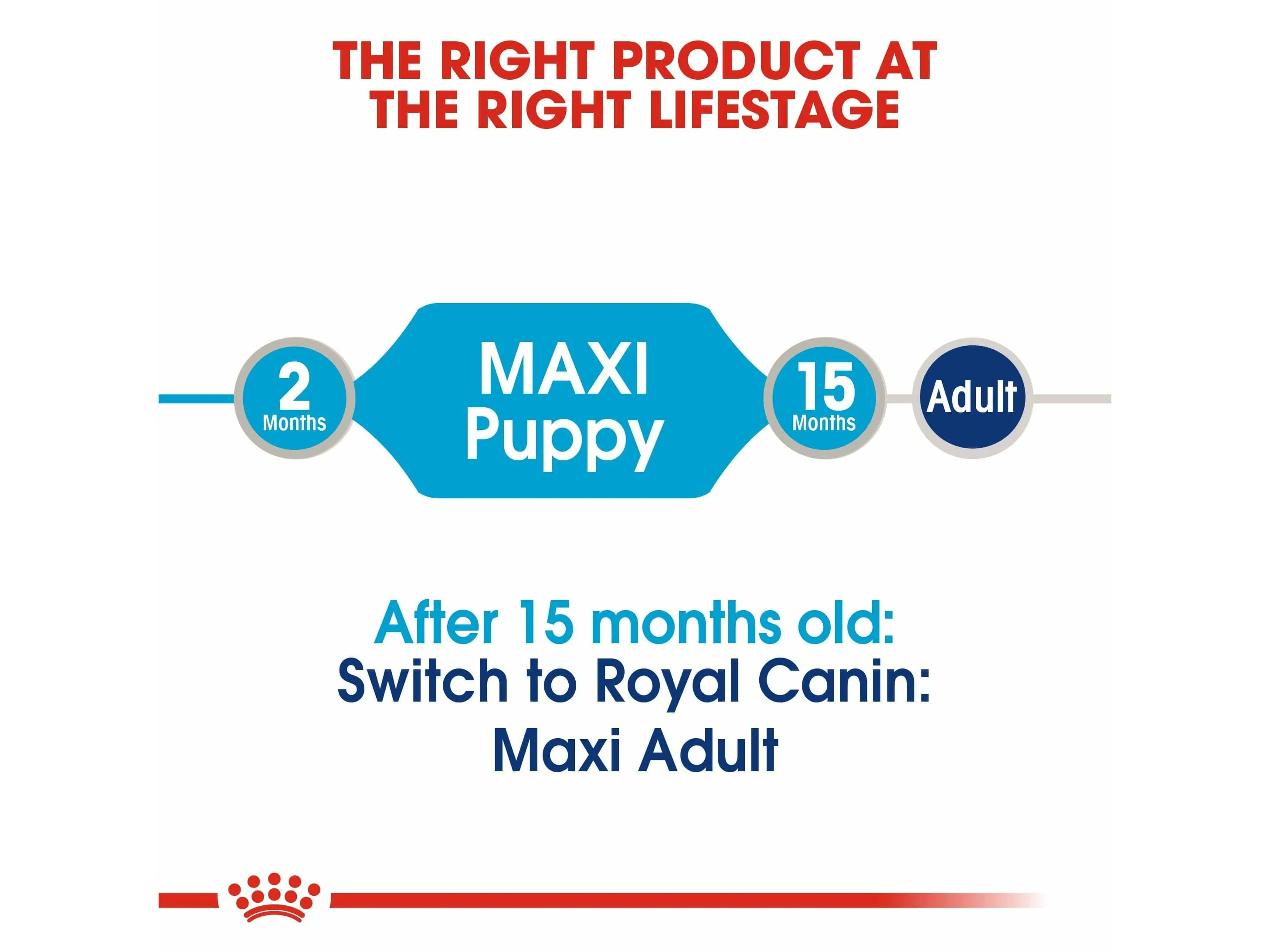 Size Health Nutrition Maxi Puppy 10X140G (Wet Food - Pouches) Pets Qatar