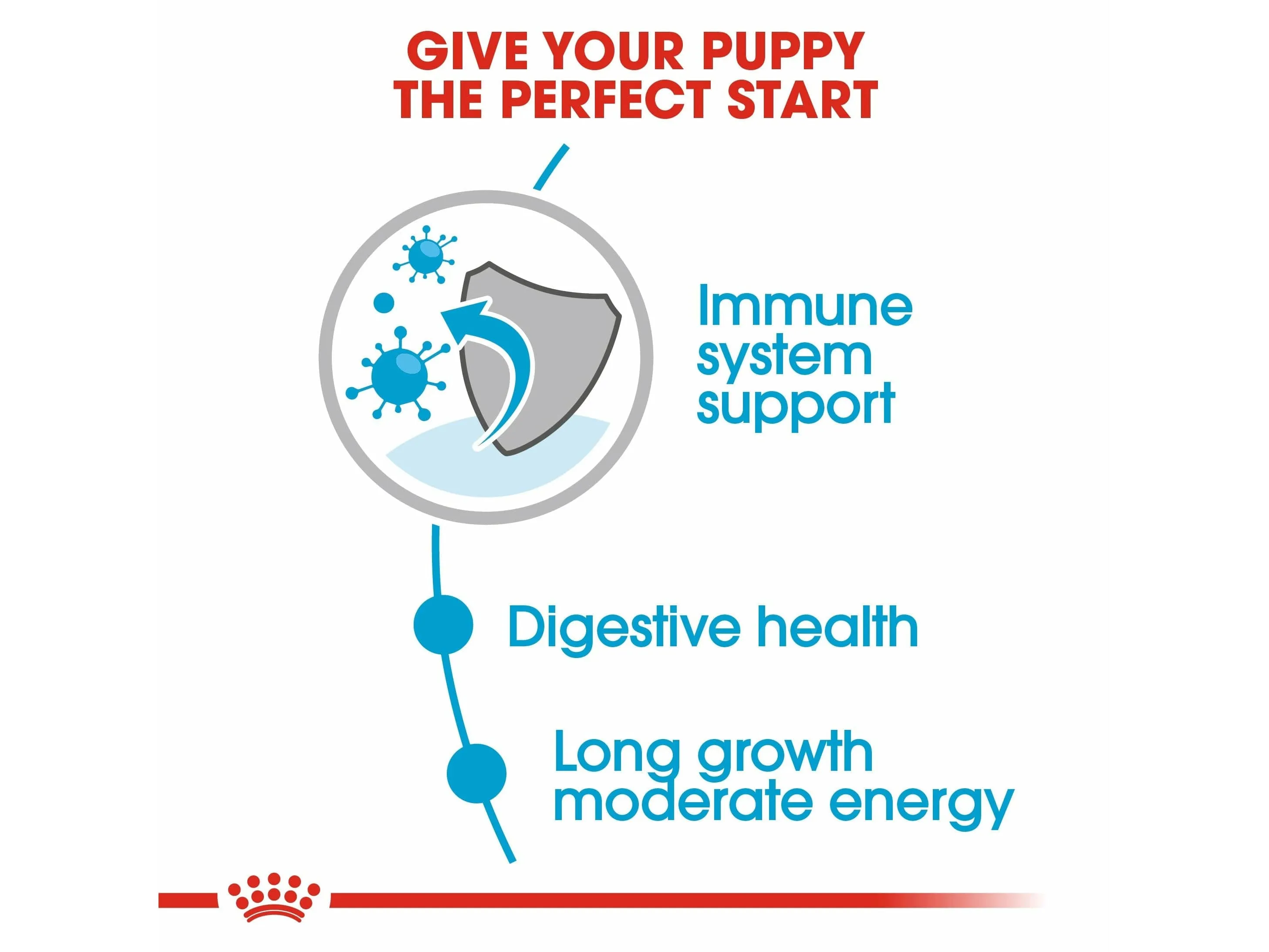 Size Health Nutrition Maxi Puppy 10X140G (Wet Food - Pouches) Pets Qatar