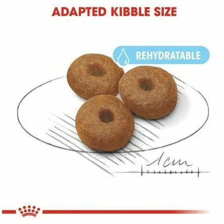 Size Health Nutrition Maxi Starter 4 KG Pets Qatar