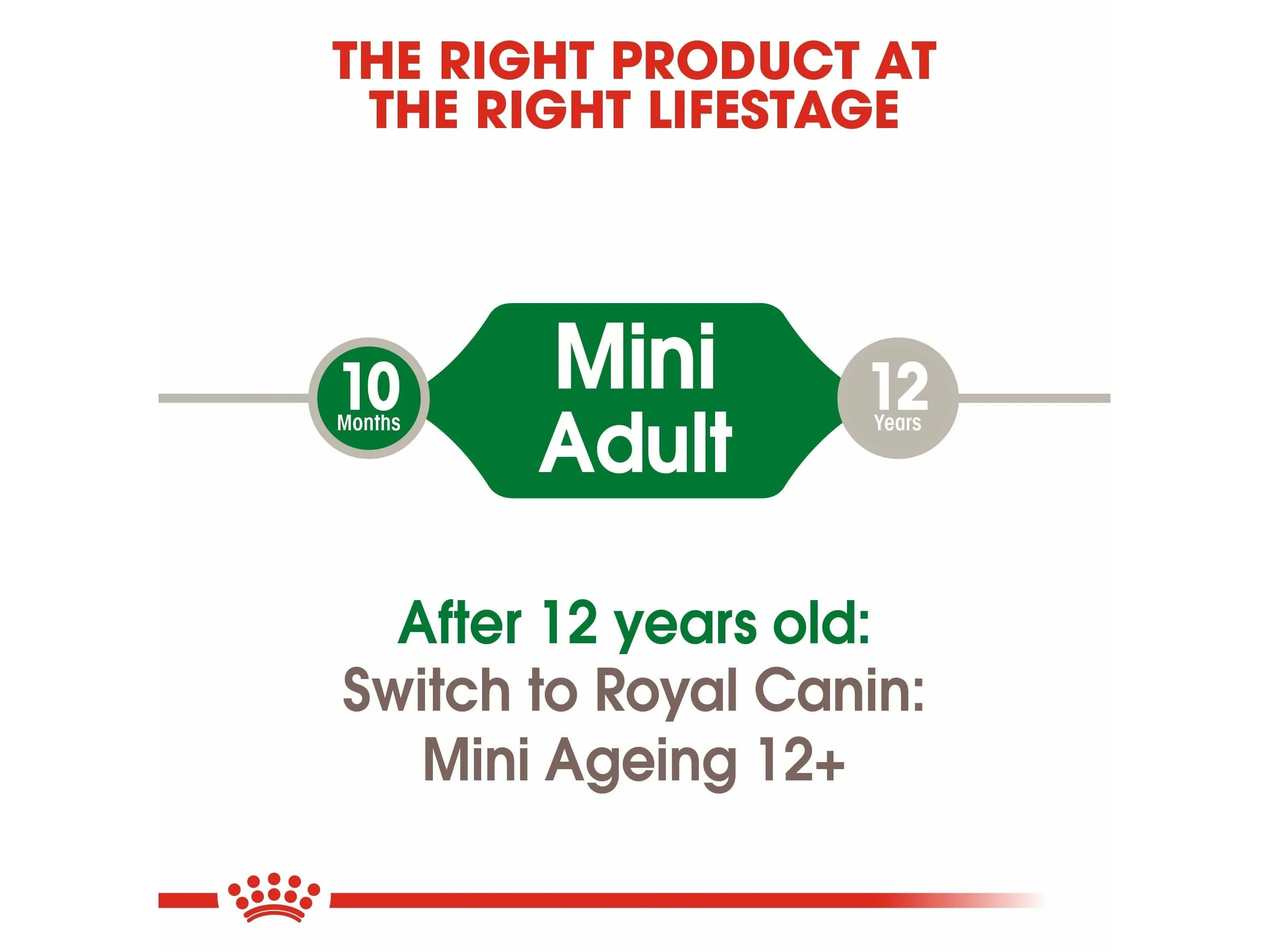 Size Health Nutrition Mini Adult 12x85g (WET FOOD - Pouches) Pets Qatar