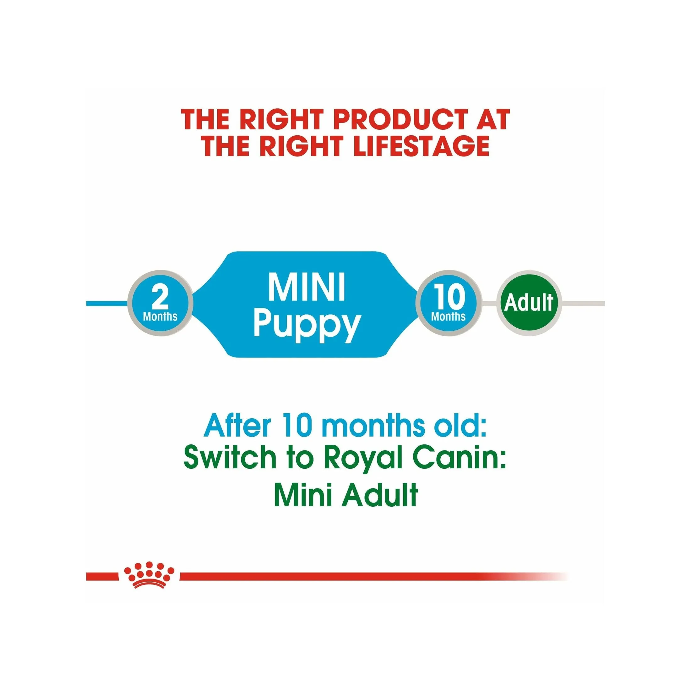 Size Health Nutrition Mini Puppy 85GX12 WET FOOD - Pouches Pets Qatar
