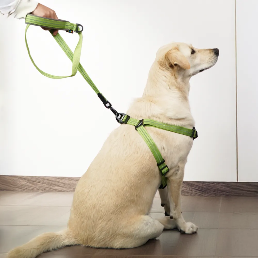 Skatrs Adventure in Style & Comfort Tropical Leash for Dogs and Cats (Green)