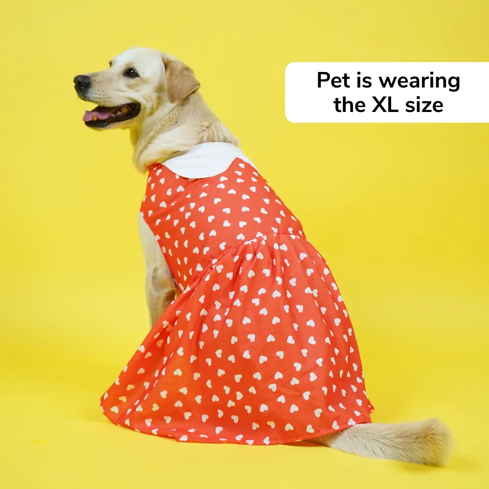 Skatrs All Hearts Printed Dress for Dogs and Cats (Red)