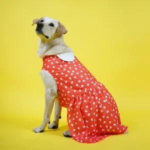 Skatrs All Hearts Printed Dress for Dogs and Cats (Red)