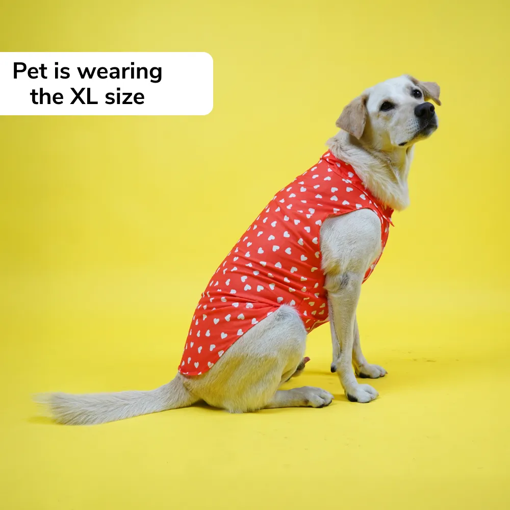 Skatrs All Hearts Printed Shirt for Dogs and Cats (Red)
