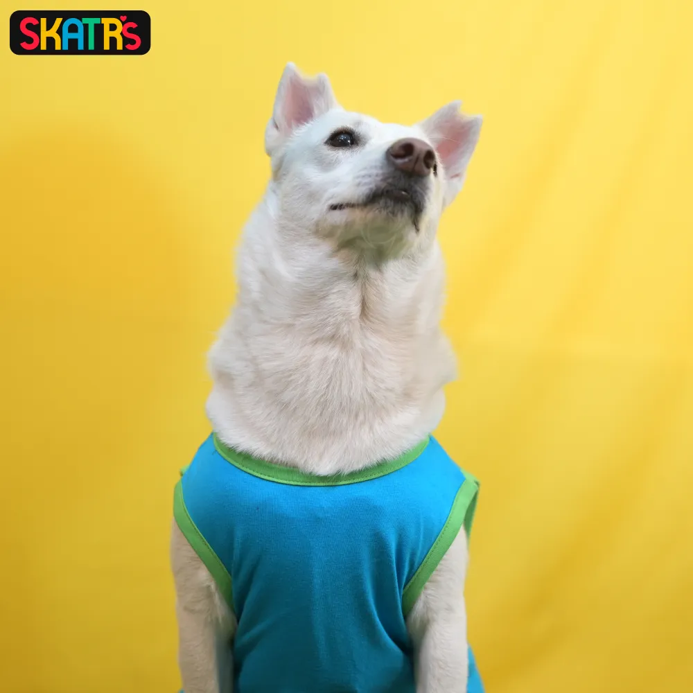 Skatrs Bitches Love Me Printed Summer Cotton T Shirt for Dogs and Cats (Blue)