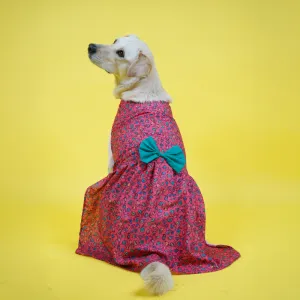 Skatrs Bold Fuchsia Printed Dress for Dogs and Cats (Pink)