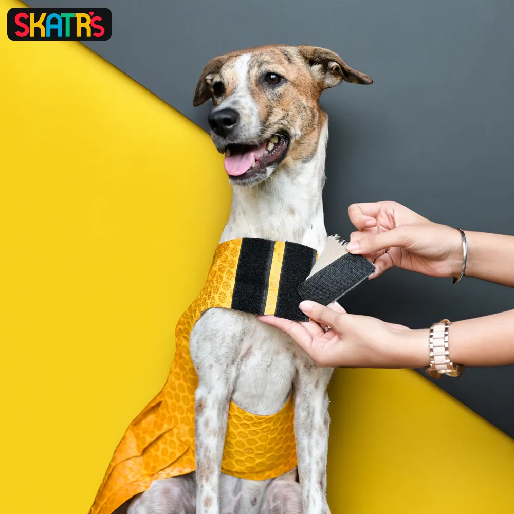 Skatrs Brocade Gold Printed Dress for Dogs and Cats (Yellow)