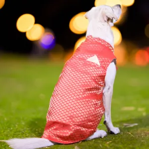 Skatrs Brocade Gold Printed Sherwani for Dogs and Cats (Red)