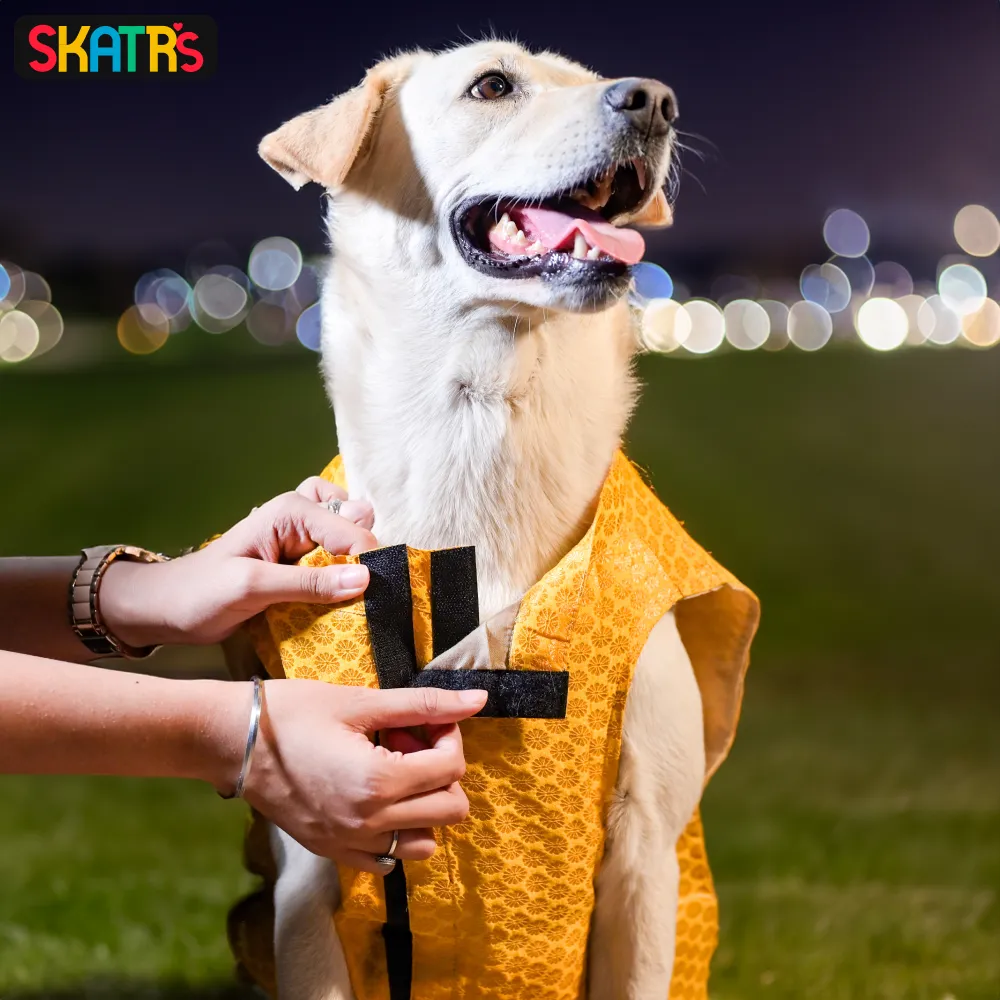 Skatrs Brocade Gold Printed Sherwani for Dogs and Cats (Yellow)