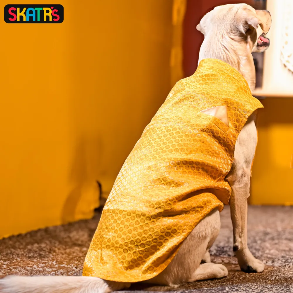 Skatrs Brocade Gold Printed Sherwani for Dogs and Cats (Yellow)