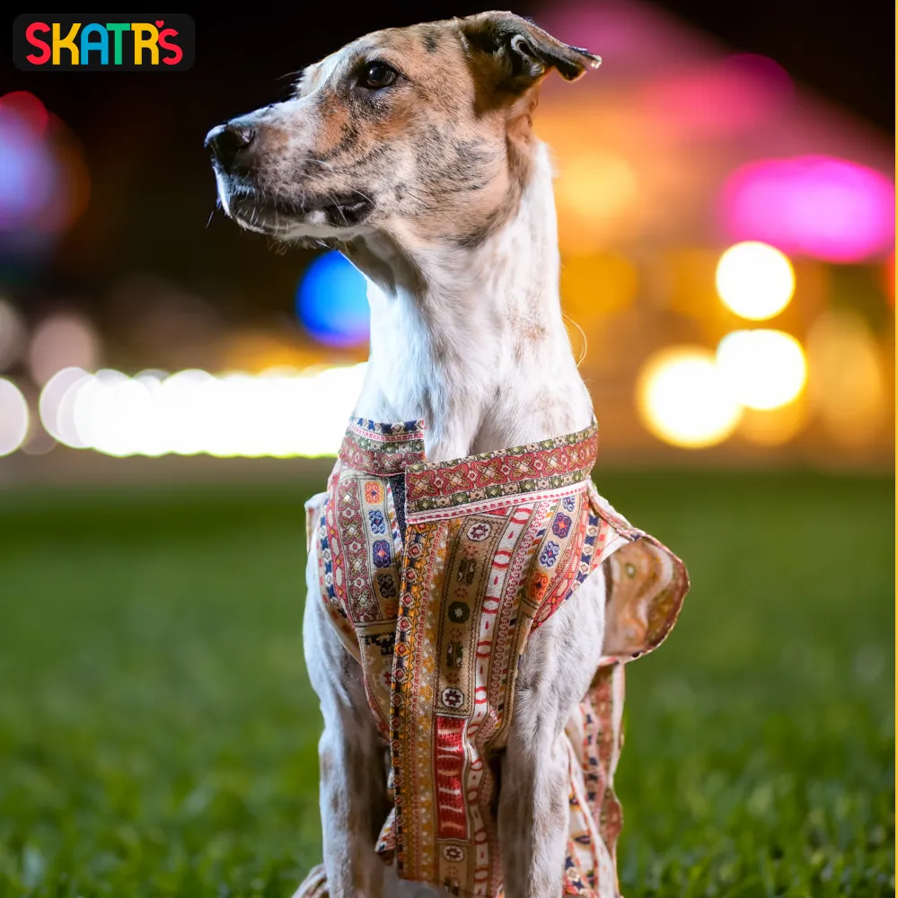 Skatrs Cotton Printed Dress for Dogs and Cats (White)