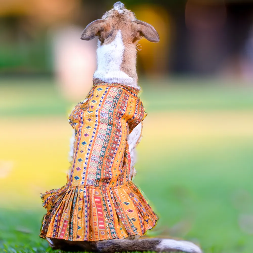 Skatrs Cotton Printed Dress for Dogs and Cats (Yellow)