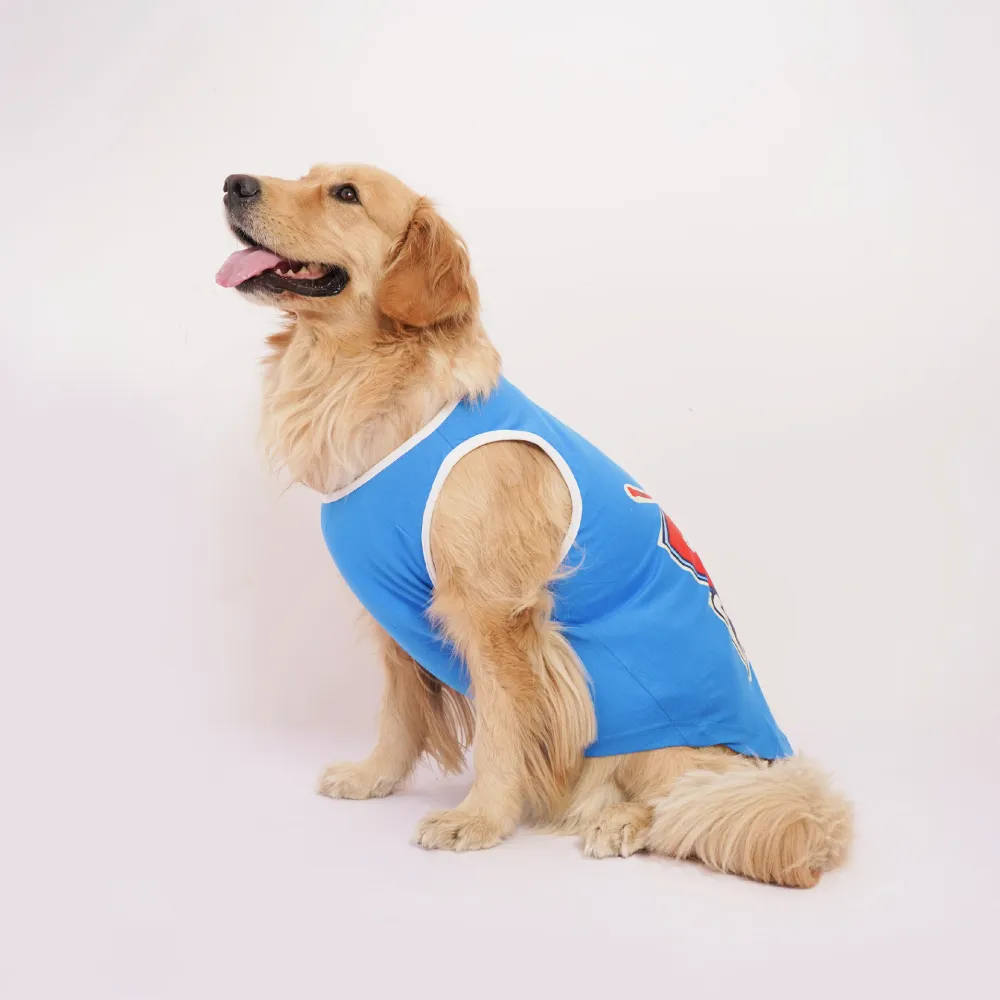 Skatrs Dilli Cuddlers Cricket Jersey for Dogs and Cats (Blue)