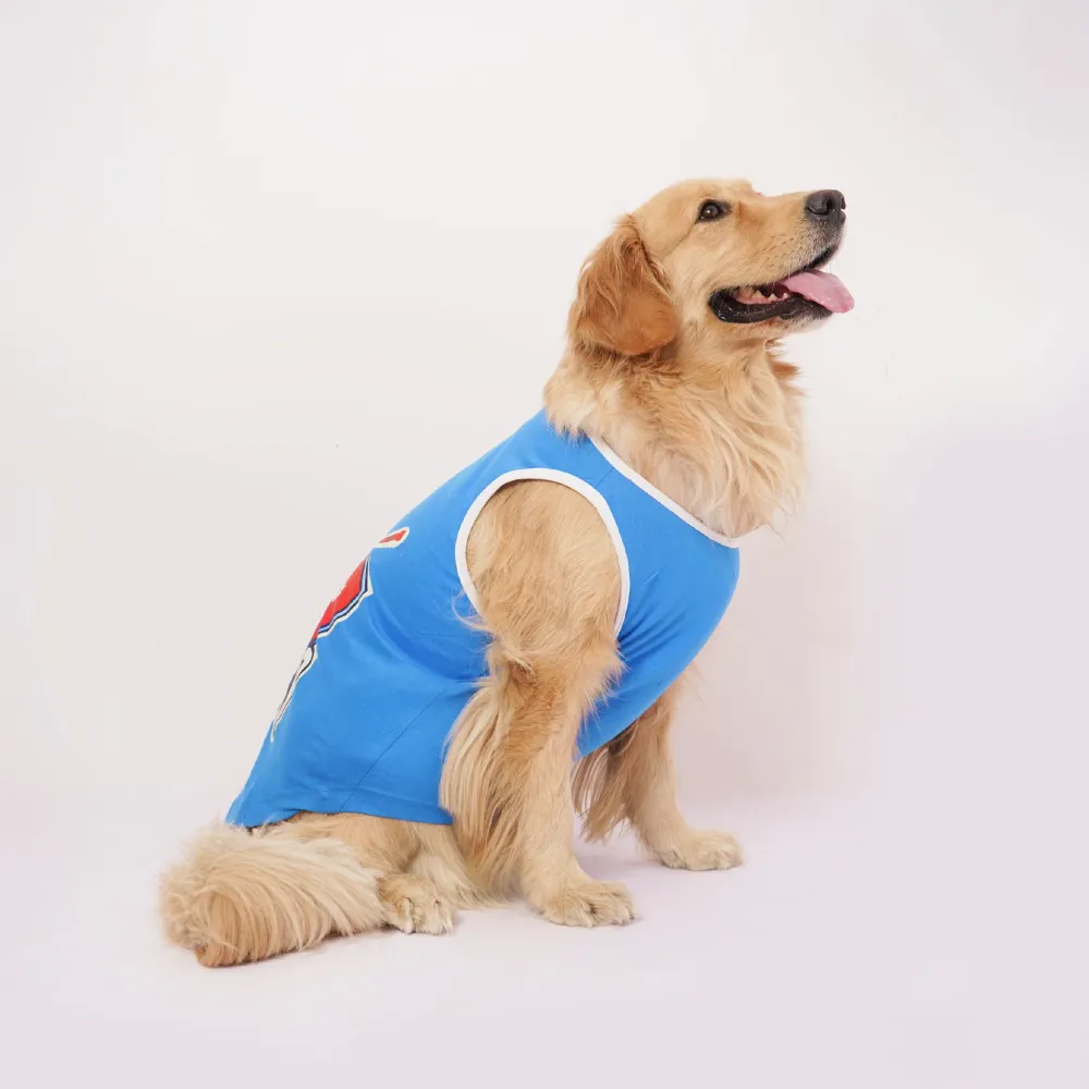 Skatrs Dilli Cuddlers Cricket Jersey for Dogs and Cats (Blue)