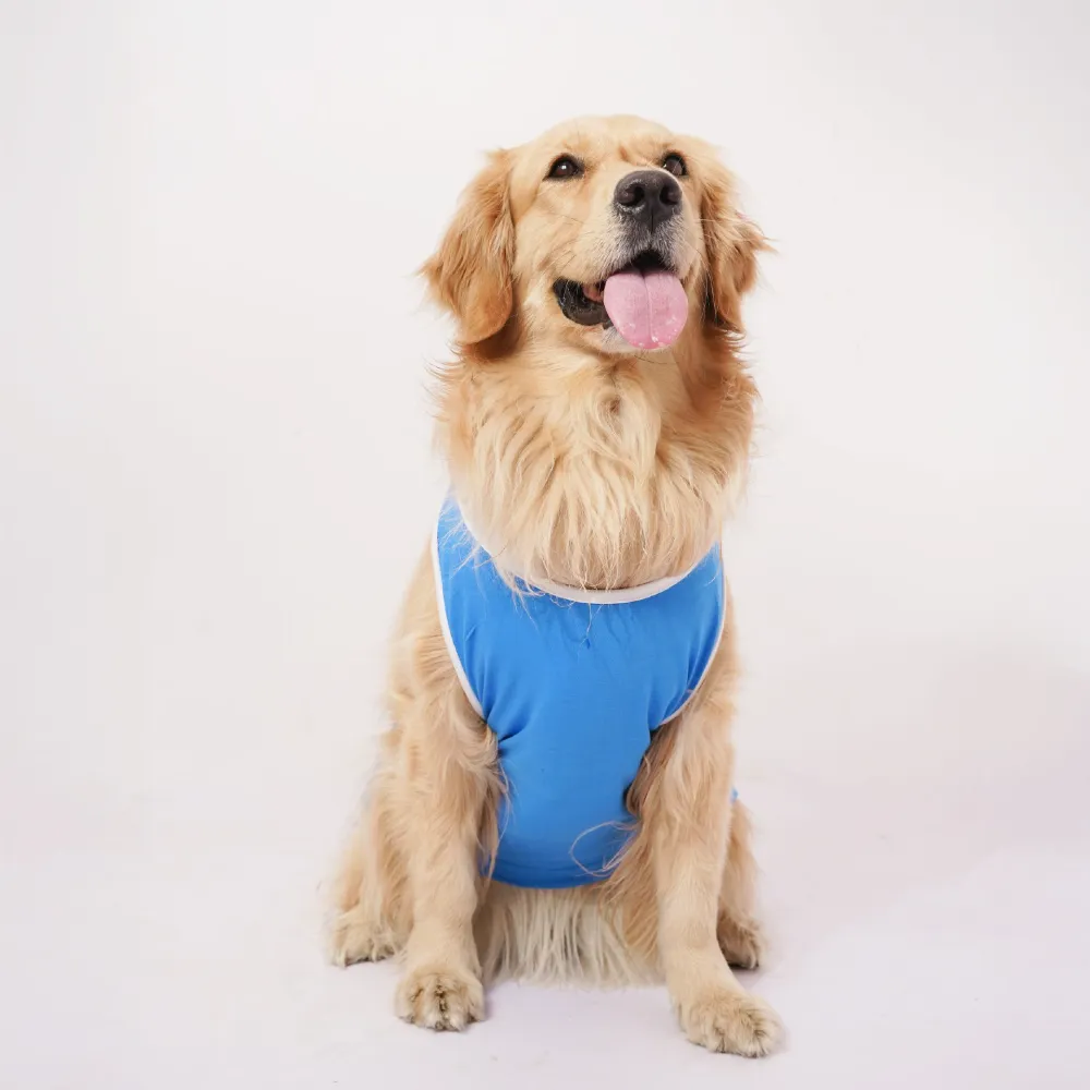 Skatrs Dilli Cuddlers Cricket Jersey for Dogs and Cats (Blue)
