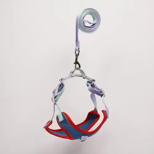 Skatrs Everyday Ready Harness & Leash Set for Small Breed Dogs & Cats (Blue)
