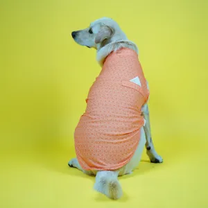Skatrs Marigold Mandala Printed Kurta for Dogs and Cats (Orange)