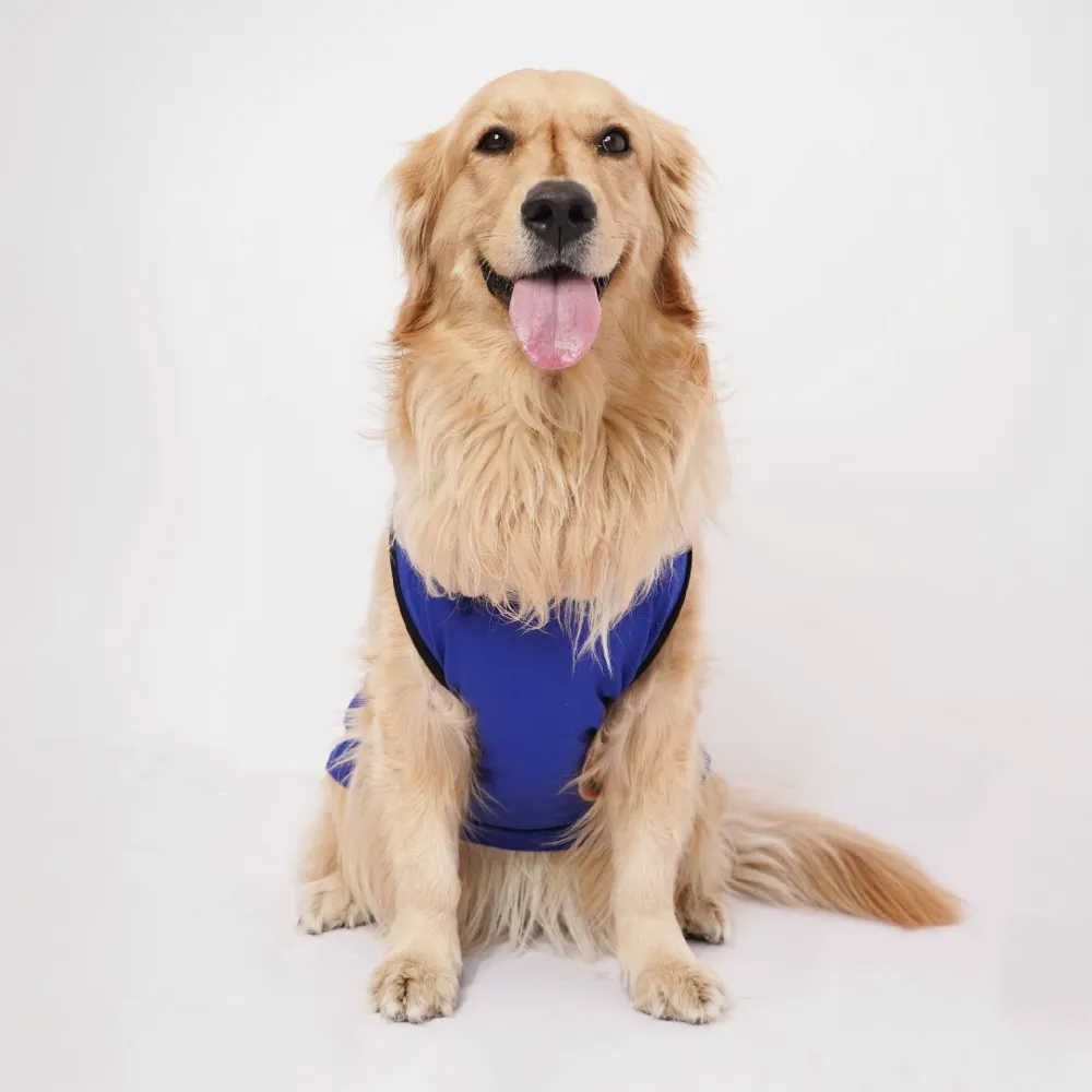 Skatrs Mastikhor Indians Cricket Jersey for Dogs and Cats (Blue)