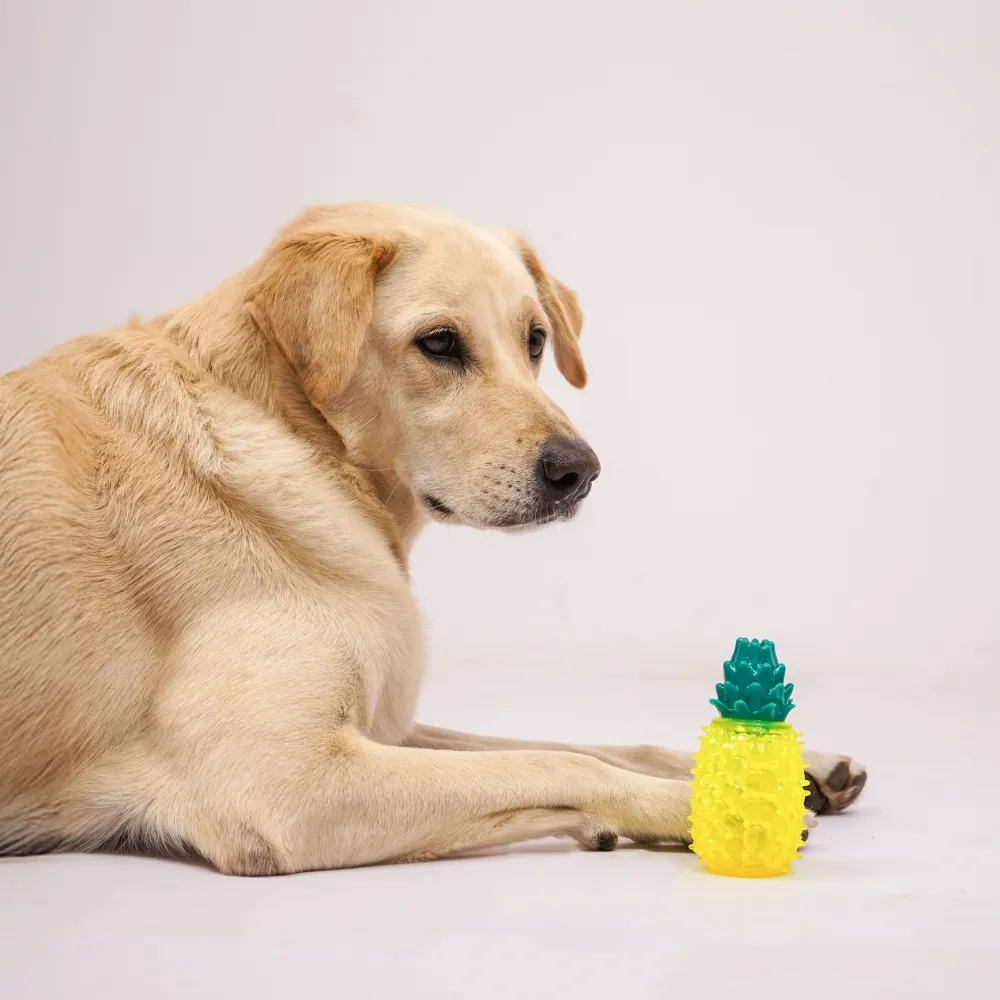 Skatrs  Pineapple Shaped Ice Cooling Toy for Dogs & Cats (Yellow)