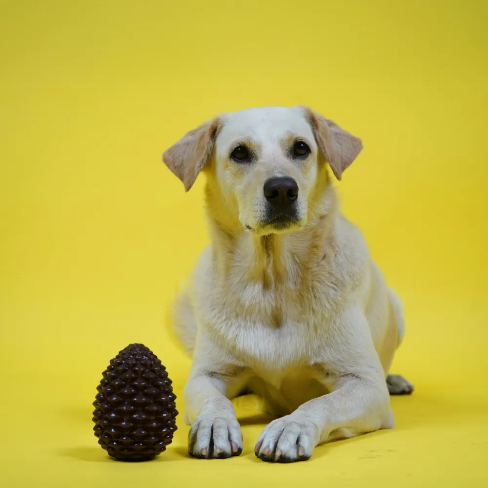 Skatrs Pinecone Treat Dispenser forDogs (Brown)