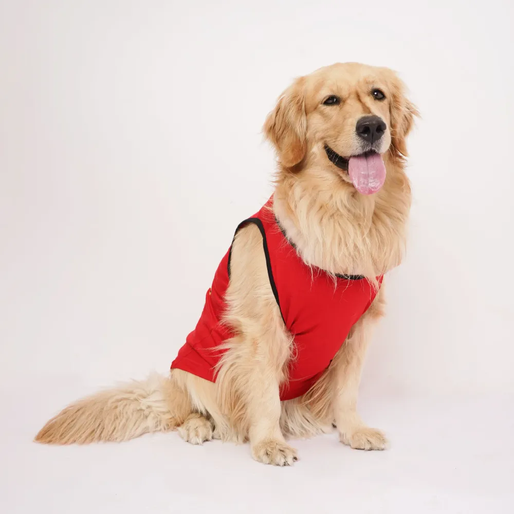 Skatrs Royal Cuddly Buddies Cricket Jersey for Dogs and Cats (Red)