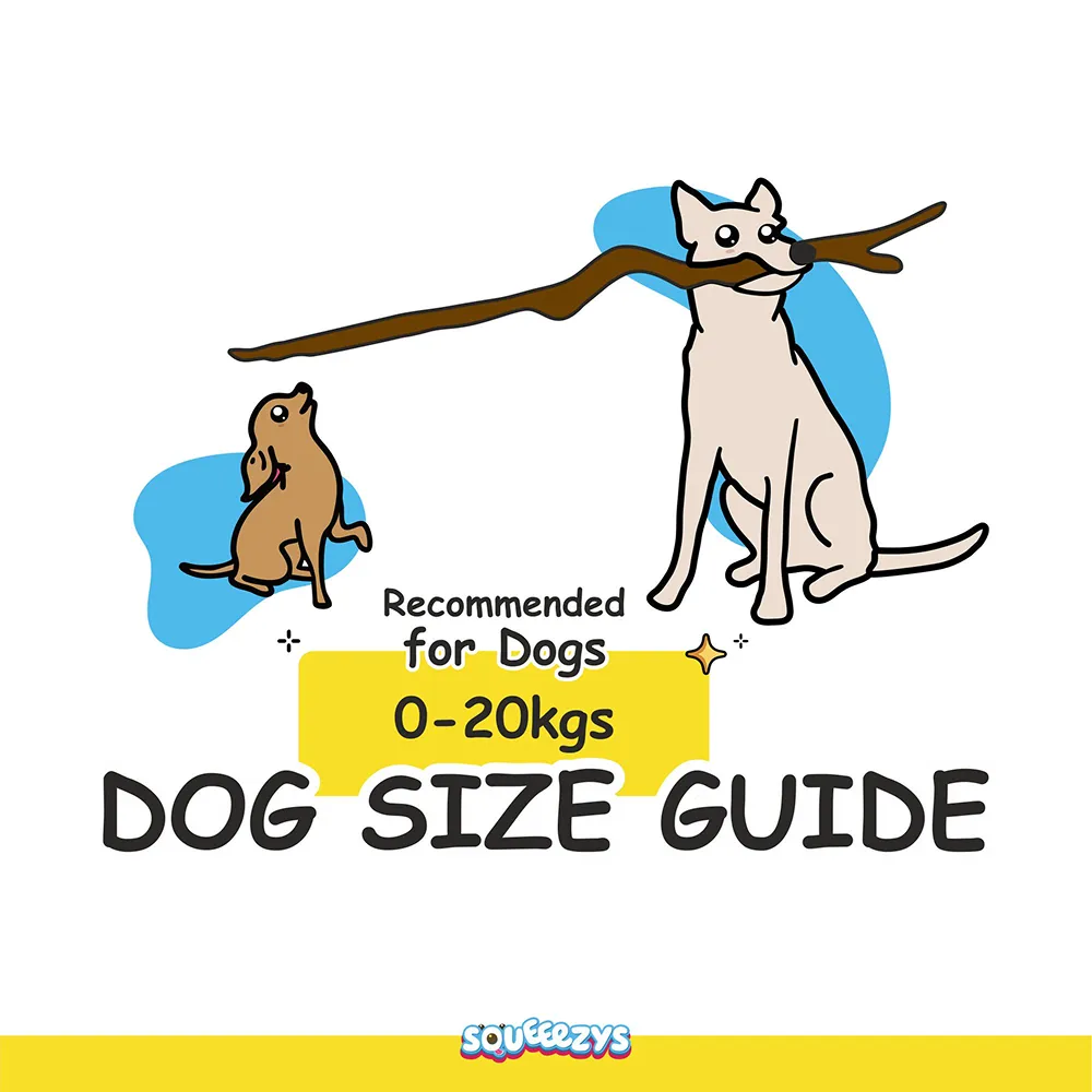 Squeeezys Latex banana Squeaky Chew Toy for Dogs (Yellow)