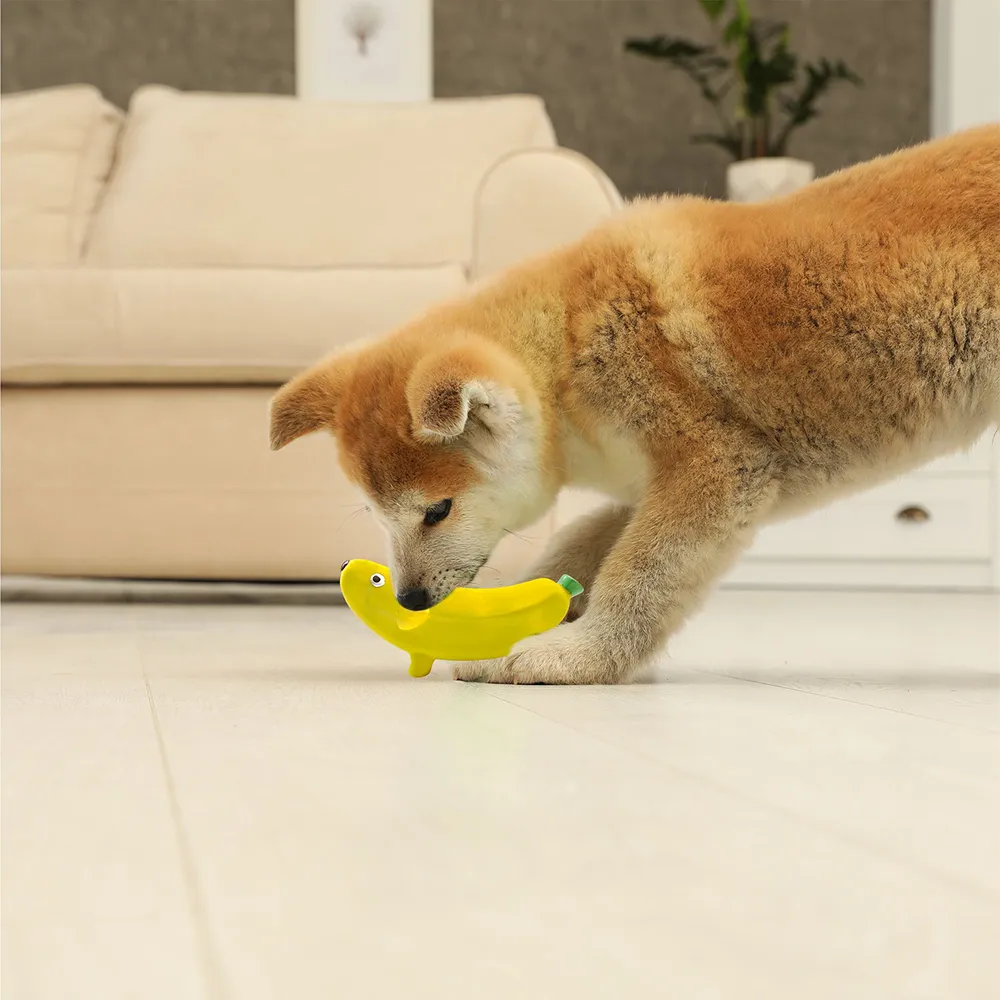 Squeeezys Latex banana Squeaky Chew Toy for Dogs (Yellow)