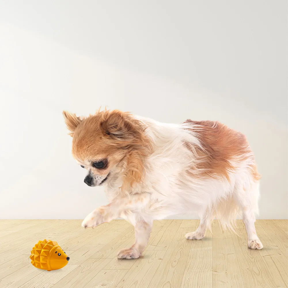 Squeeezys Latex Hedgehog Squeaky Chew Toy for Dogs (Orange)