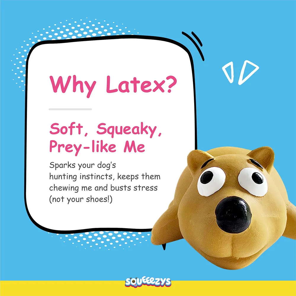 Squeeezys Latex Little Bear Squeaky Chew Toy for Dogs (Brown)