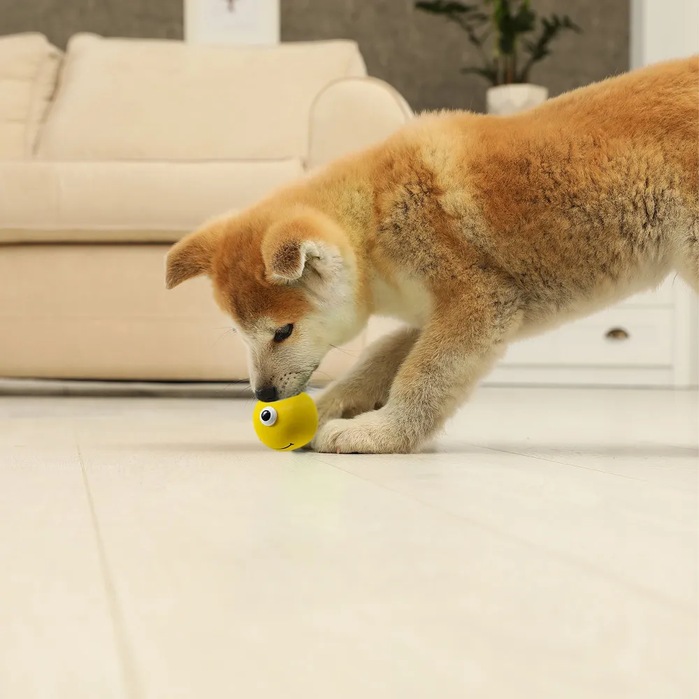 Squeeezys Latex Monster Ball Chew Toy for Dogs (Yellow)