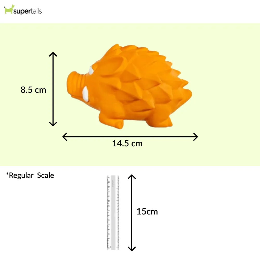 Squeeezys Latex Warthog Squeaky Chew Toy for Dogs (Orange)