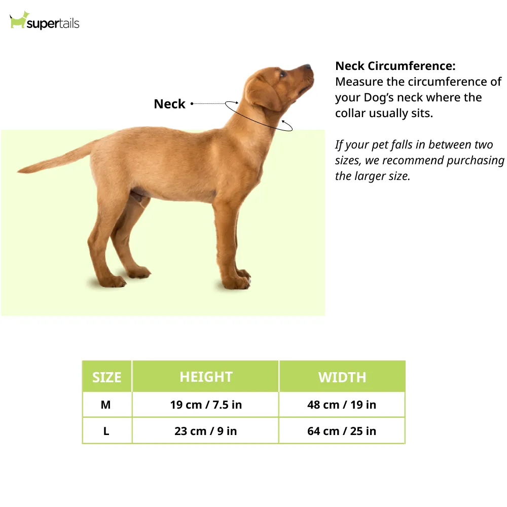 Talking Dog Club Doctor Bandana for Dogs and Cats (Brown)