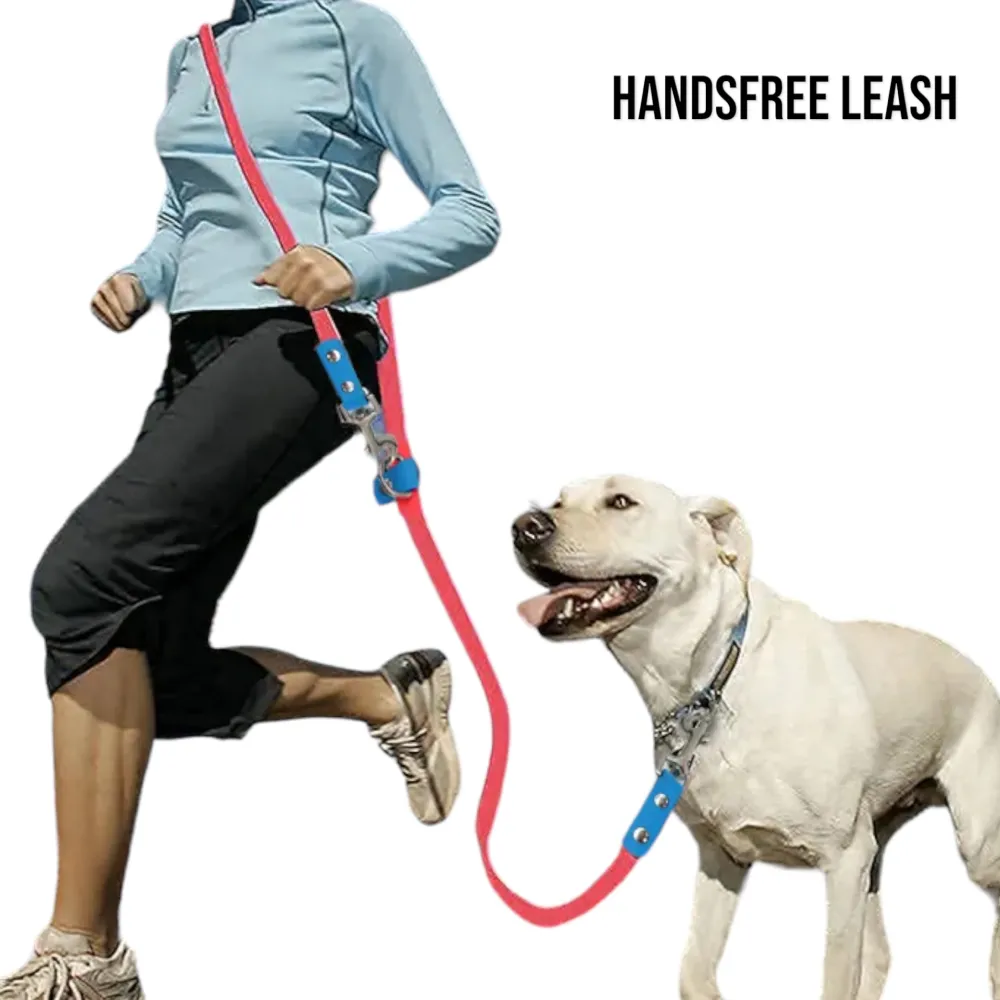 Talking Dog Club Multifunction Handsfree Leash for Dogs (Black)