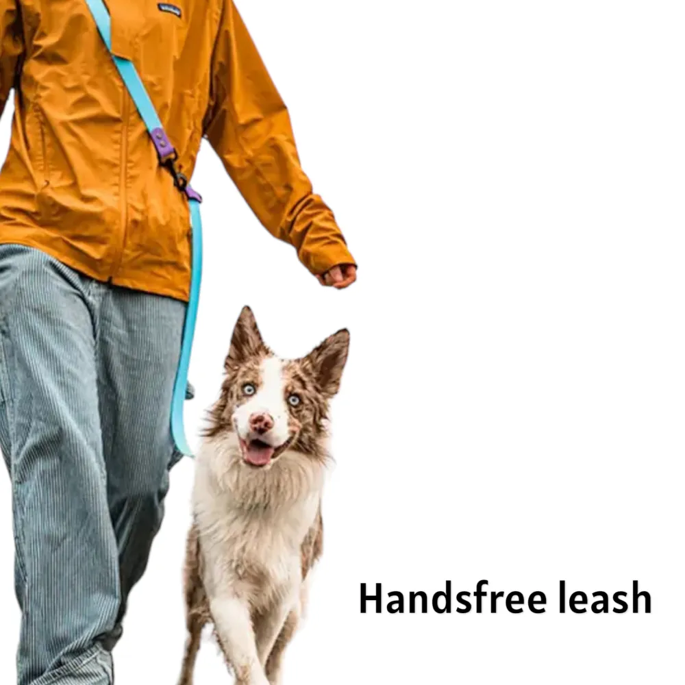 Talking Dog Club Multifunction Handsfree Leash for Dogs (Black)