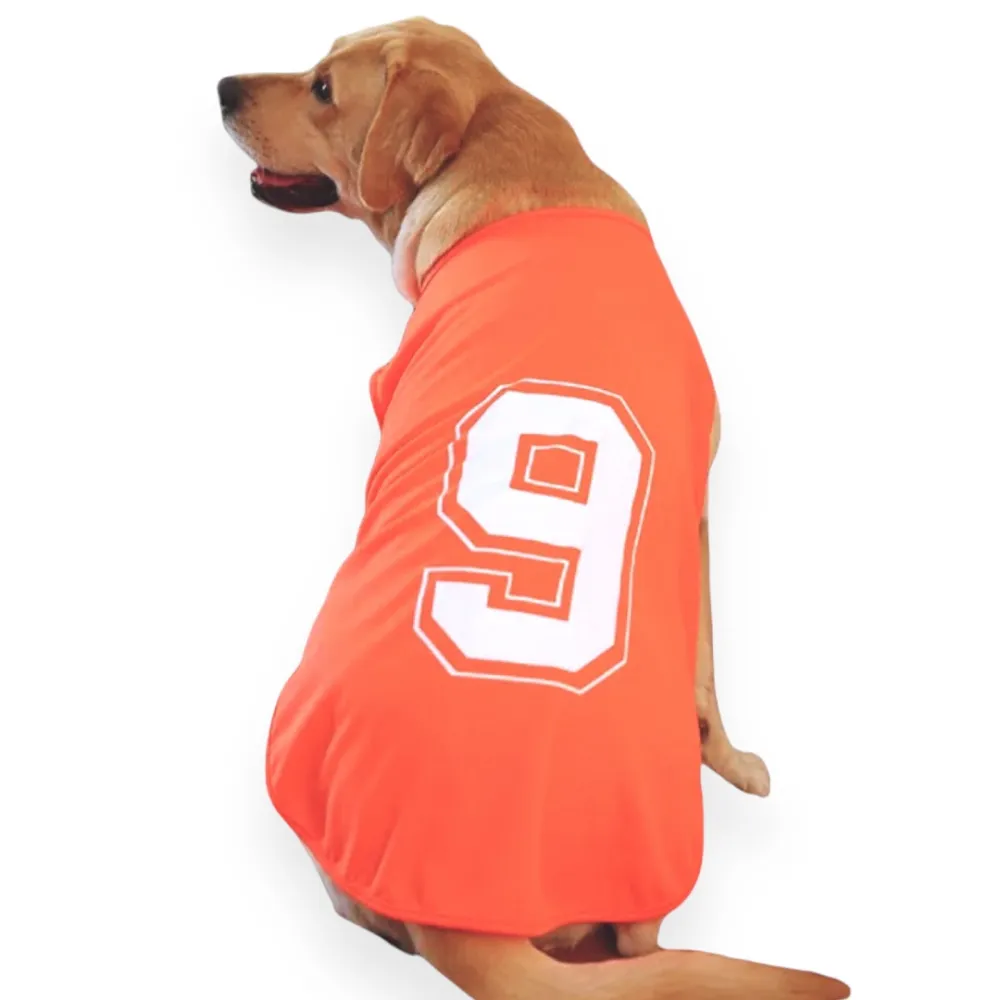 Talking Dog Club Player Ltd Edition Sports Jersey for Dogs (Orange)