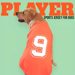 Talking Dog Club Player Ltd Edition Sports Jersey for Dogs (Orange)