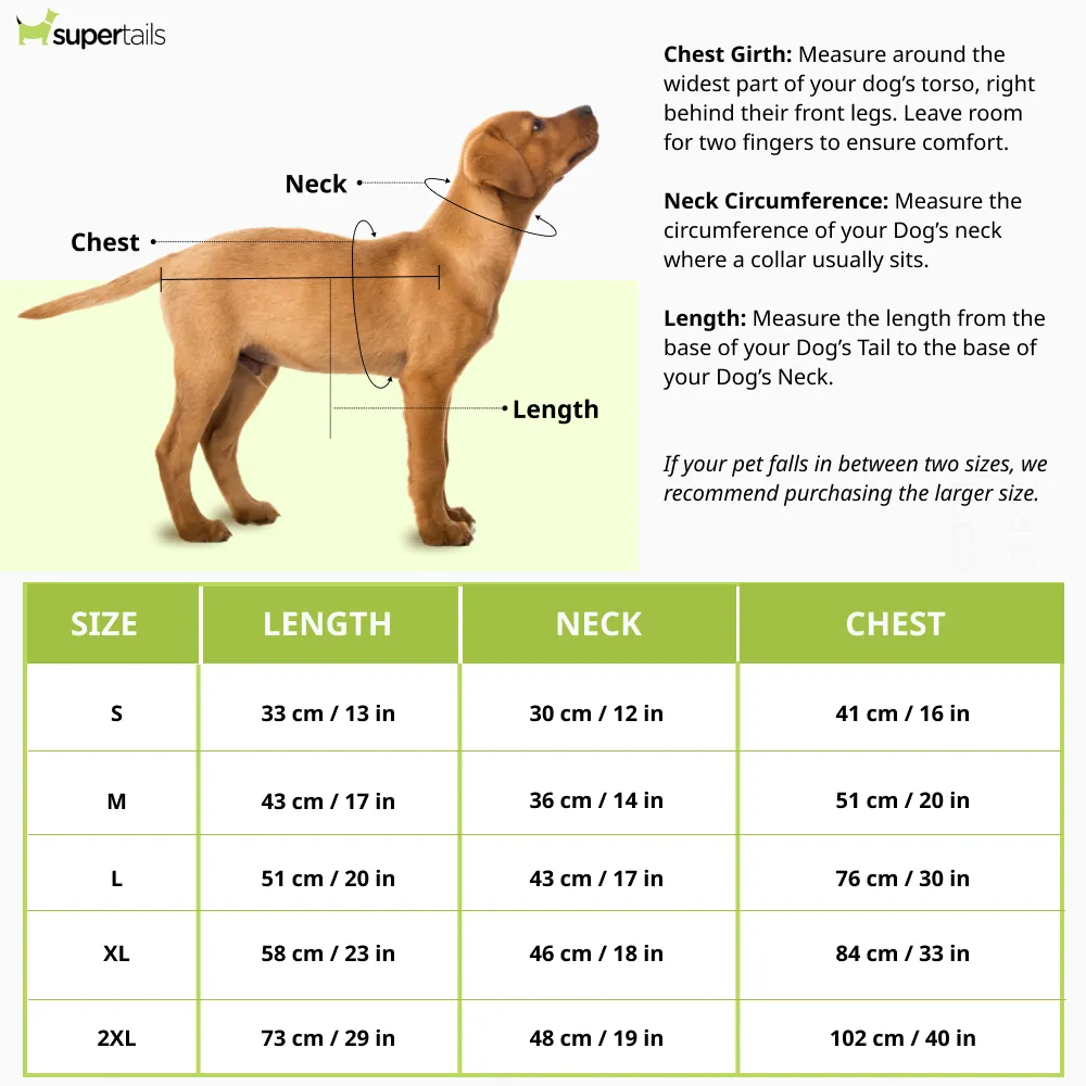 Talking Dog Club Player Ltd Edition Sports Jersey for Dogs (Yellow)