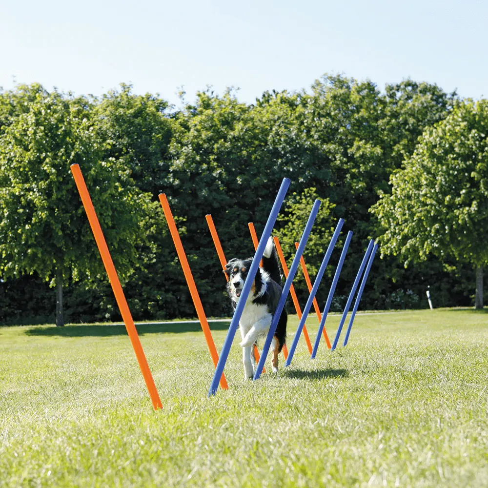 Trixie Dog Agility Slalom for Dogs (Orange/Blue)