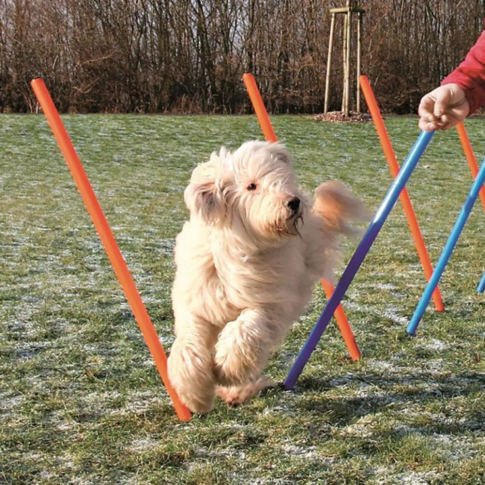 Trixie Dog Agility Slalom for Dogs (Orange/Blue)