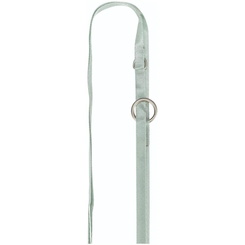 Trixie Junior Harness with Leash for Dogs (Mint)