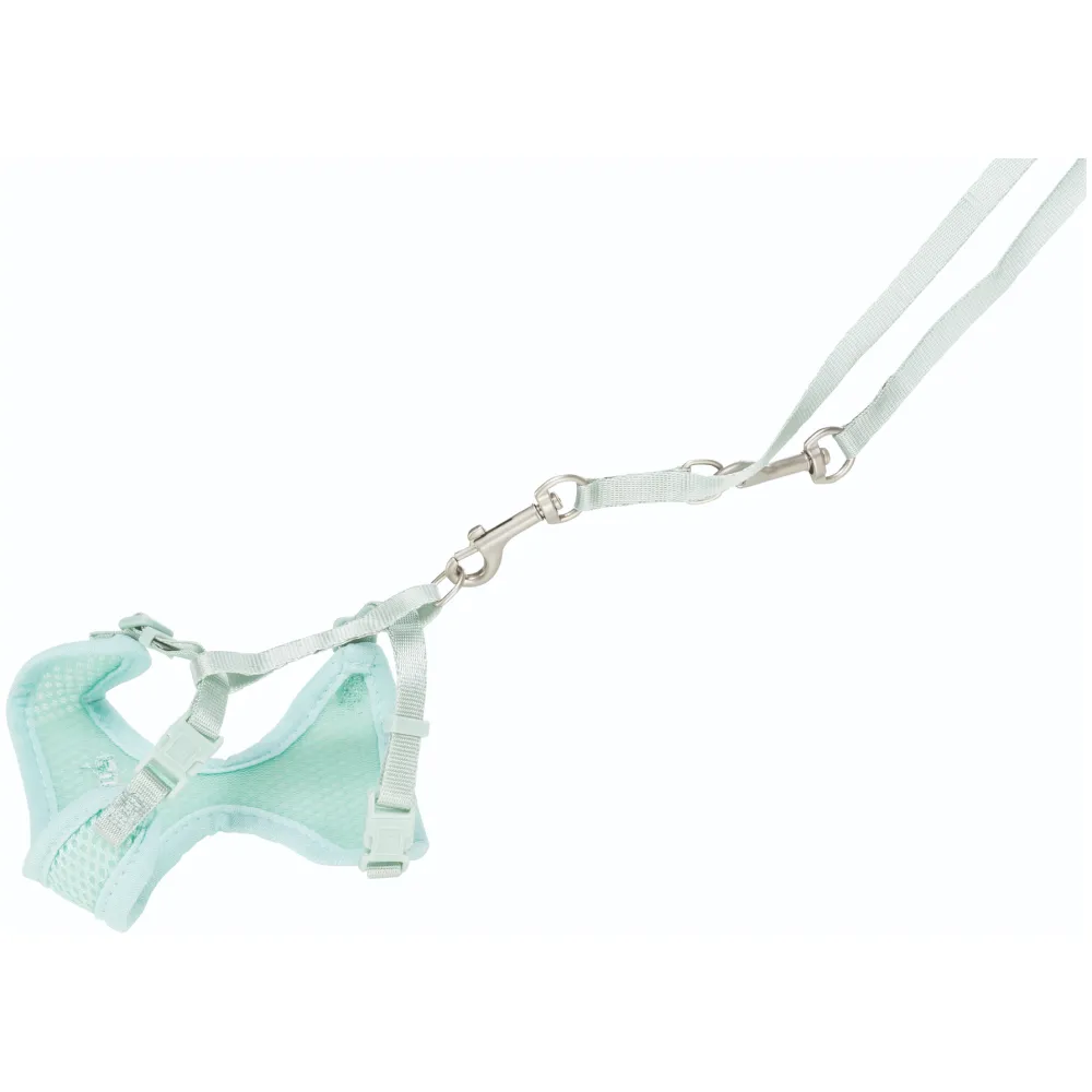 Trixie Junior Harness with Leash for Dogs (Mint)