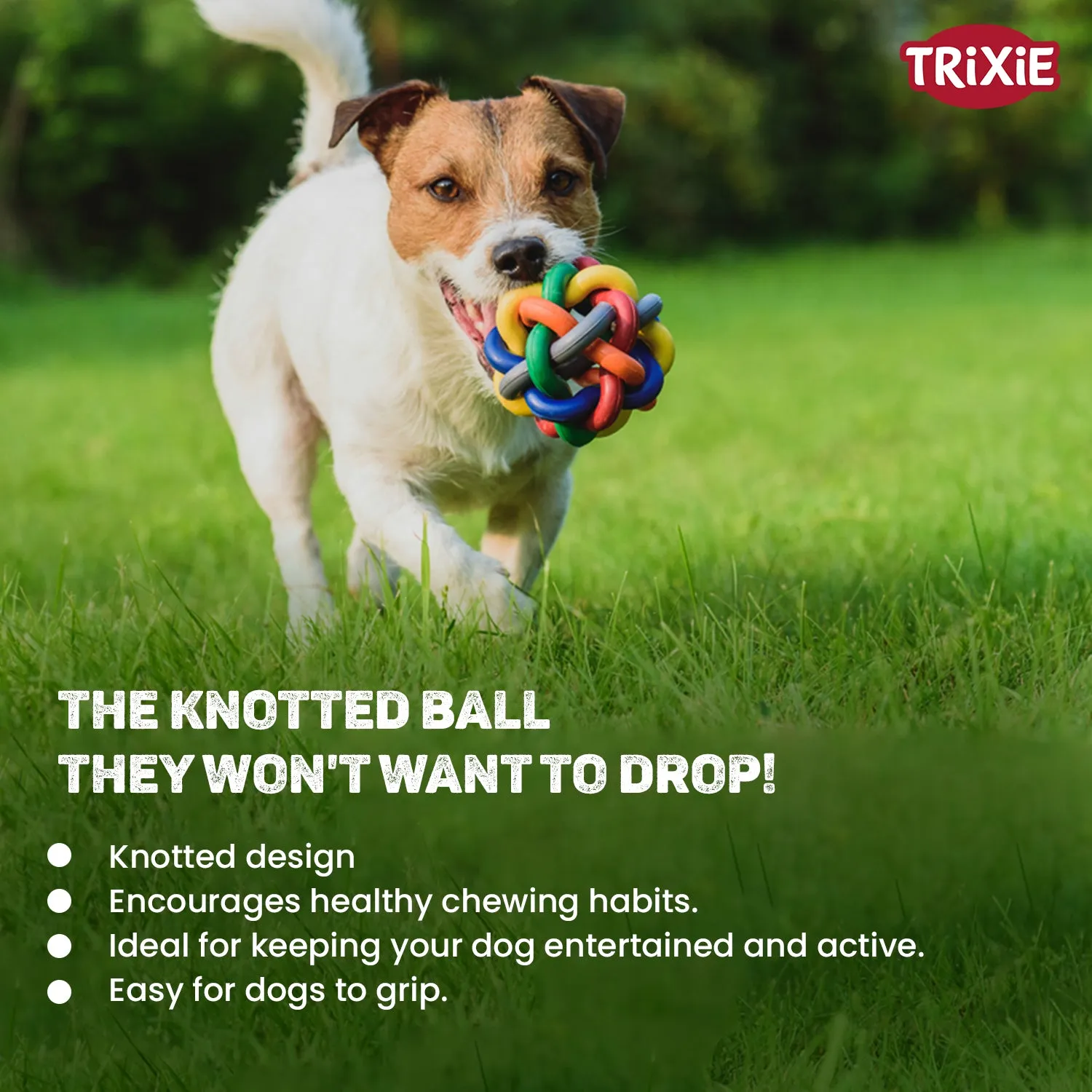 Trixie Natural Rubber Knotted Ball Chew Toy for Dogs