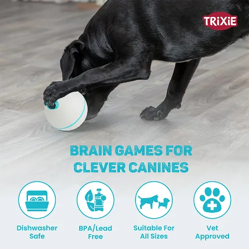 Trixie Plastic Snack Ball Toy for Dogs (Grey)