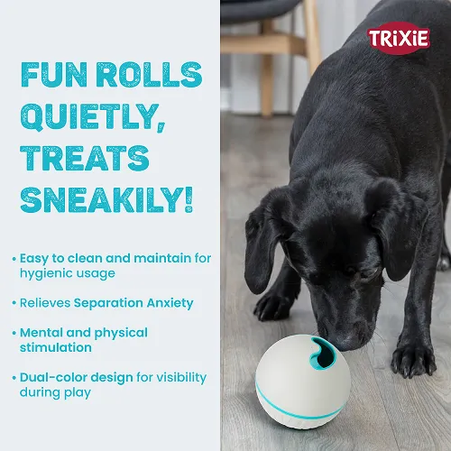 Trixie Plastic Snack Ball Toy for Dogs (Grey)